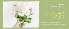 合作經(jīng)營，共負(fù)盈虧，原您在最美的季節(jié)，收獲美好，展望未來